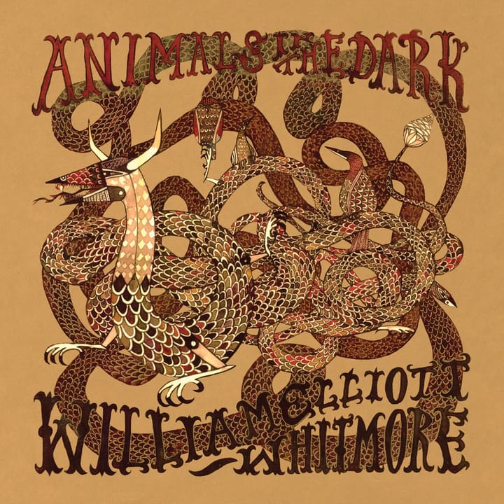 Animals In The Dark (2009)