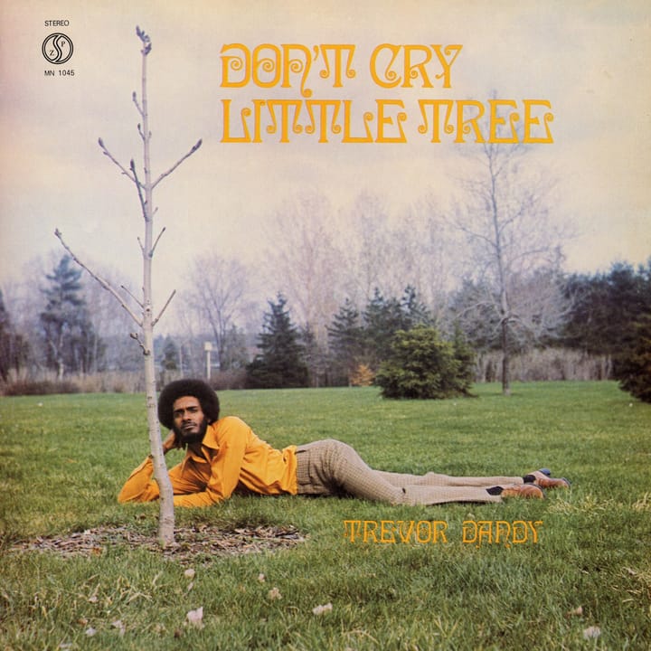 Don't Cry Little Tree (1970)